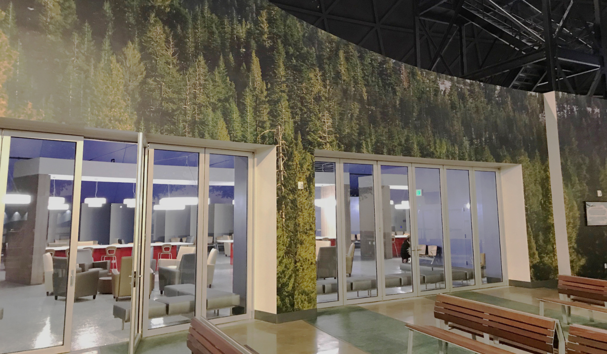 Carnival Cruise Line Terminal Renovation