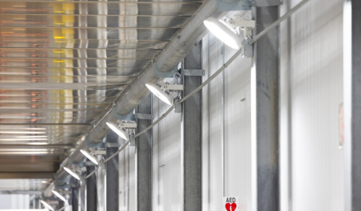 Indoor Vertical Farms