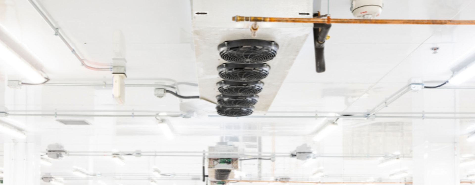 American Airlines Catering Facility